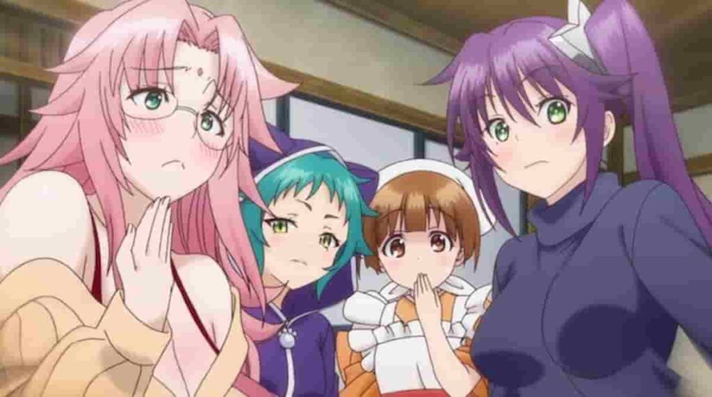 11 Best Harem Anime Series That Will Bring Out Your Animal