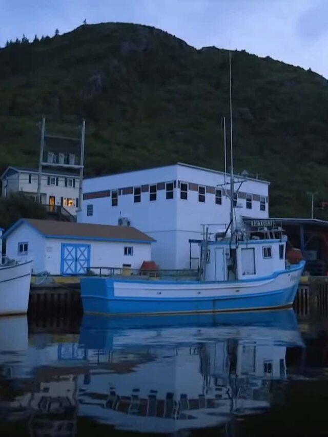 Hallmark christmas movies filmed in Newfoundland