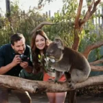 A Melbourne Match Filming Locations, Cast, and Plot Details